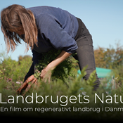Ny film om regenerativt landbrug
