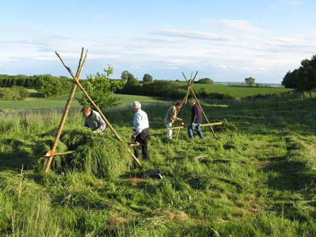 DN Næstved laver naturpleje flere steder