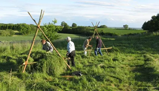 DN Næstved laver naturpleje flere steder