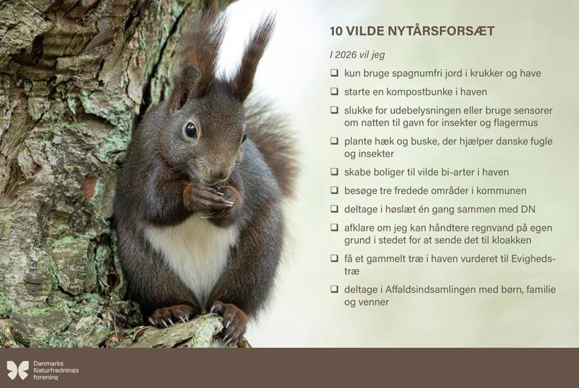 10 VILDE NYTÅRSFORSÆT 2026