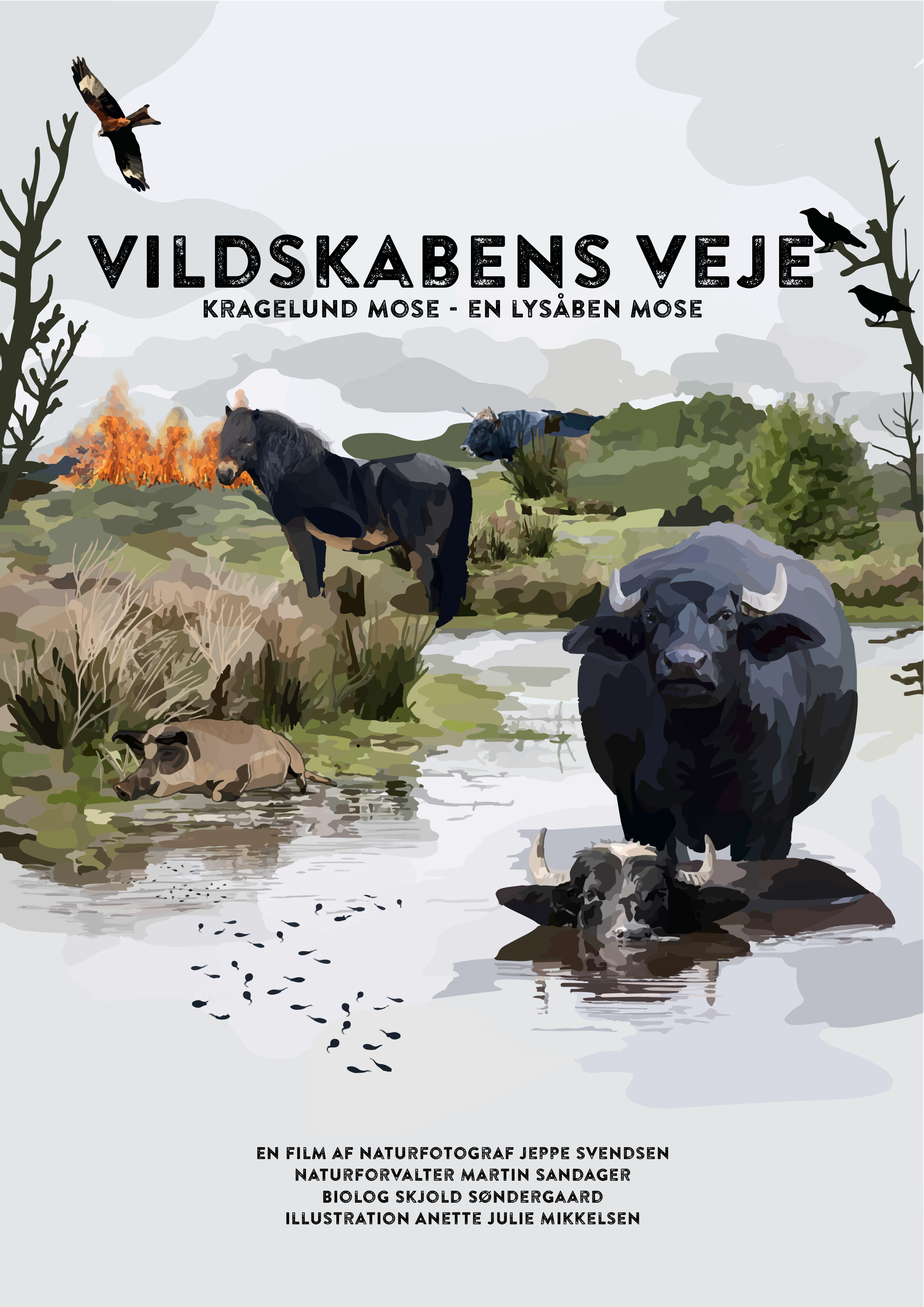 Bliv vært for Vildskabens Veje 