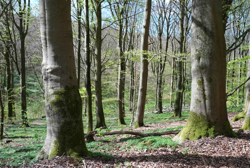 Søg Friluftsrådets pulje inden 15. februar 2026