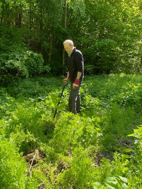 Munks Banke 2 naturpleje 2026.jpg