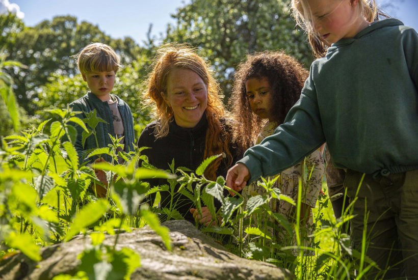 DN-aktive inviterer børn og børnefamilier med ud i naturen i uge 36 