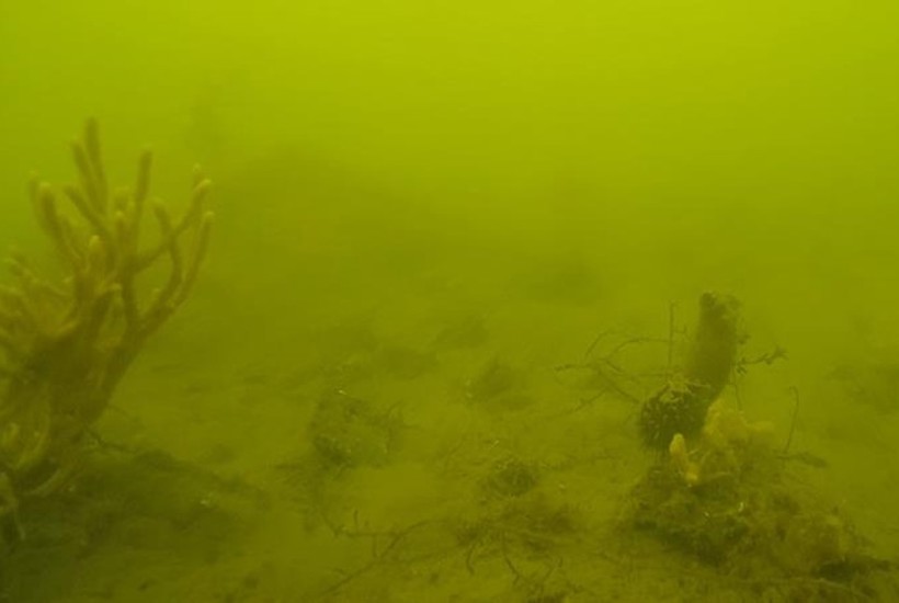 DN-afdeling i front for Grøn Trepart og den lokale fjord