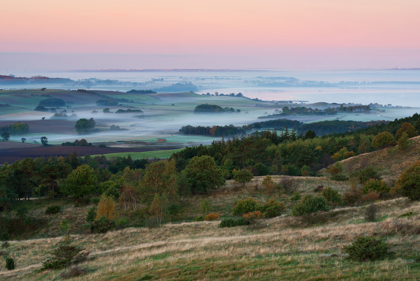 Årets DN-frivillige pris - Den Grønne Sommerfugl og Den Røde Sommerfugl 